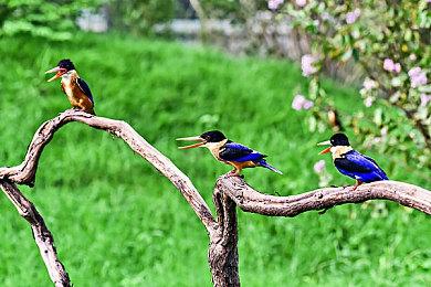 《木卫四协议》现在能让玩家跳过可怕的死亡动画