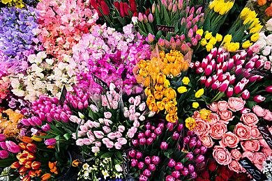 《星际争霸：重制版》《星际争霸2：战役合集》11月登陆Game Pass